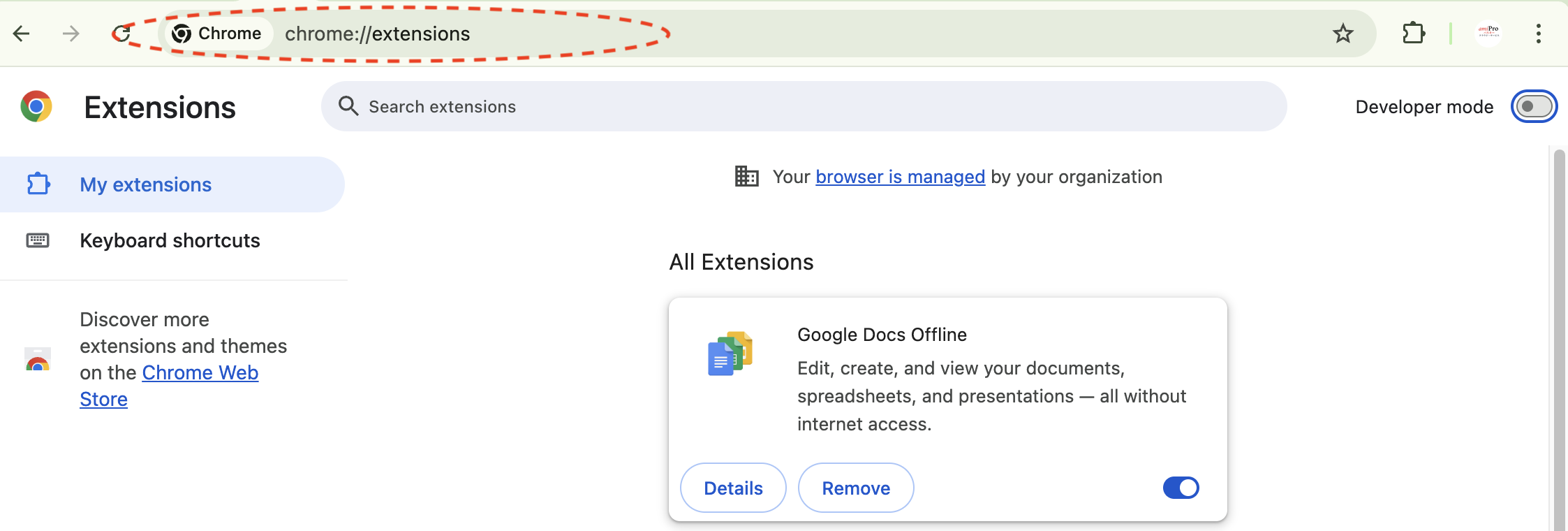 Chrome extensions page highlighting chrome://extensions in the address bar